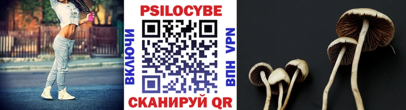 хочу   Хабаровск  Галлюциногенные грибы мухоморы 