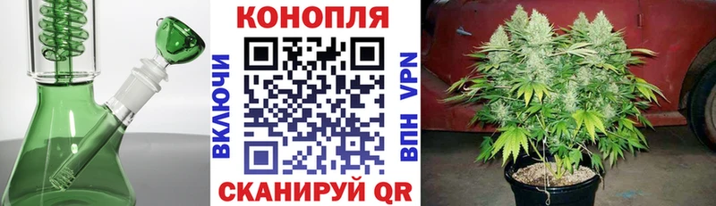 Бошки марихуана марихуана  Хабаровск 
